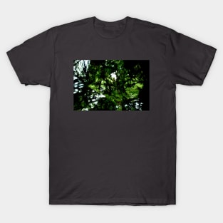 Kaleidoscope Diary The Green Forest T-Shirt